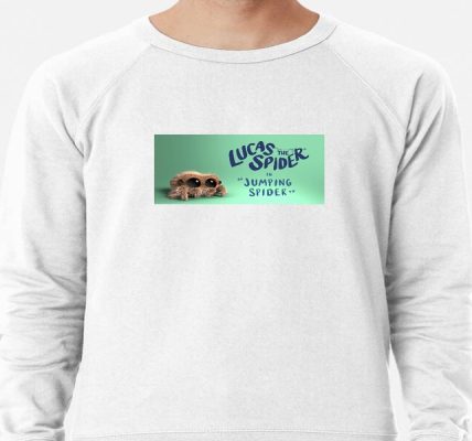 The Shy Hero And The Assassin Princesses Official Merch: Embrace the Adventure